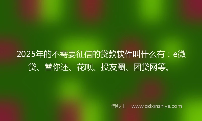 2025年的不需要征信的贷款软件叫什么有：e微贷、替你还、花呗、投友圈、团贷网等。