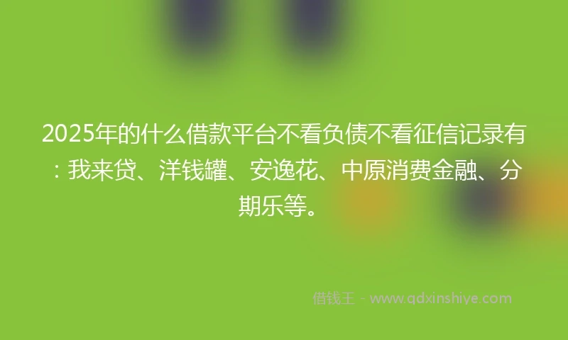 2025年的什么借款平台不看负债不看征信记录有：我来贷、洋钱罐、安逸花、中原消费金融、分期乐等。