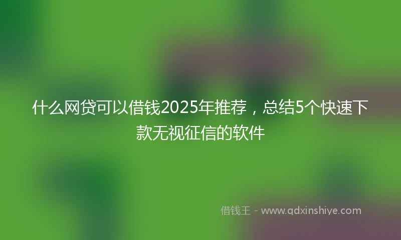 什么网贷可以借钱2025年推荐，总结5个快速下款无视征信的软件