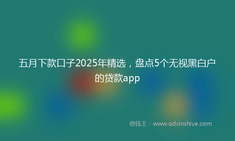 五月下款口子2025年精选，盘点5个无视黑白户的贷款app