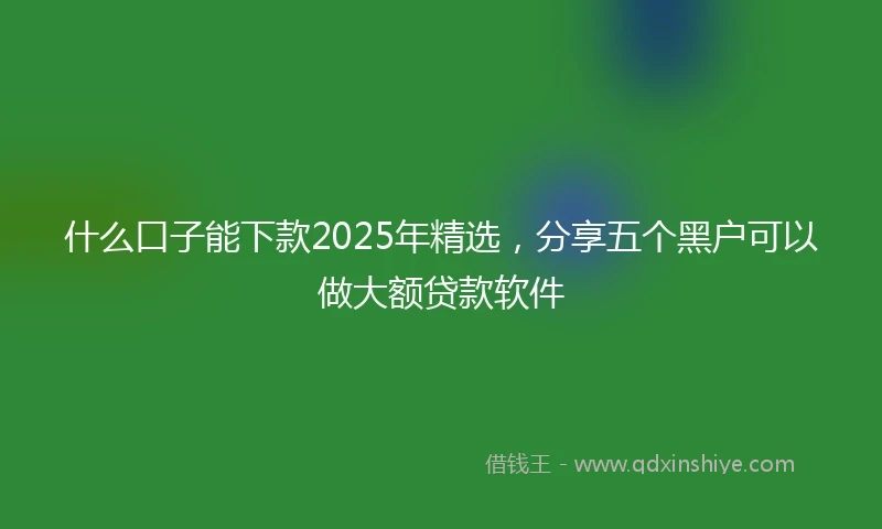 什么口子能下款2025年精选，分享五个黑户可以做大额贷款软件