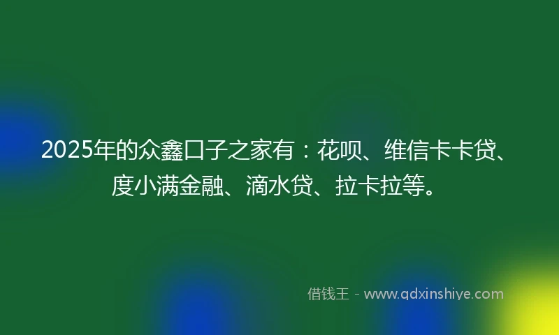 2025年的众鑫口子之家有：花呗、维信卡卡贷、度小满金融、滴水贷、拉卡拉等。