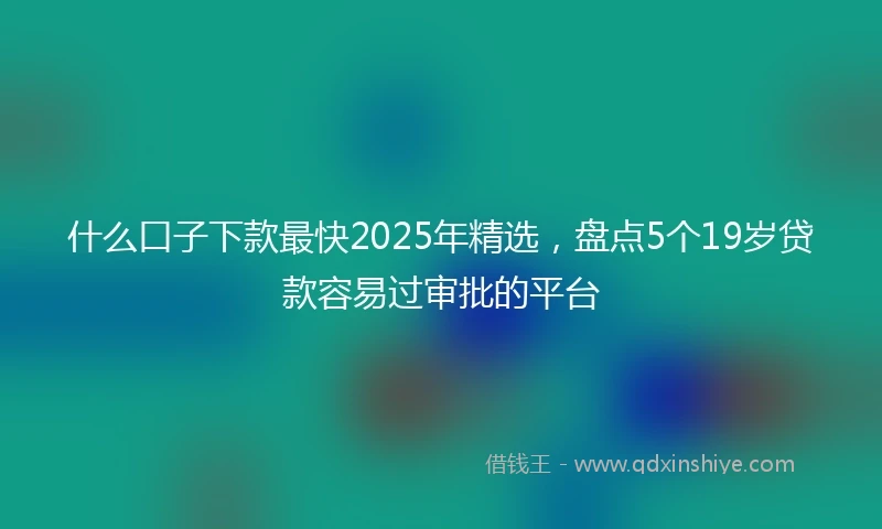 什么口子下款最快2025年精选，盘点5个19岁贷款容易过审批的平台
