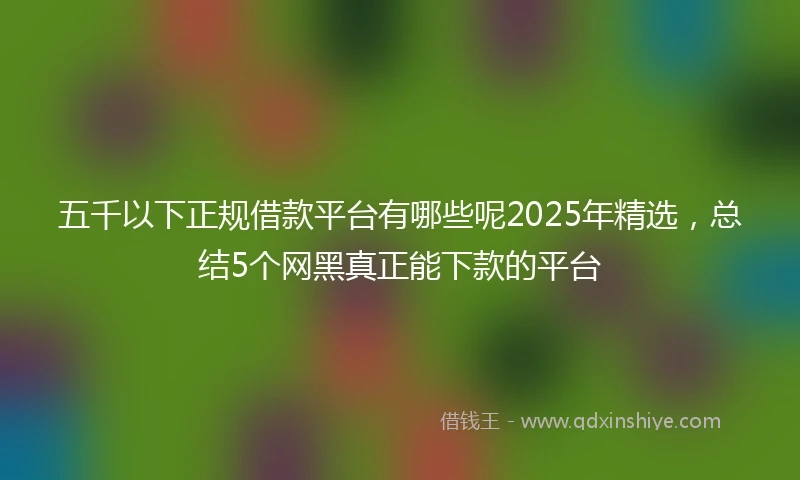 五千以下正规借款平台有哪些呢2025年精选，总结5个网黑真正能下款的平台