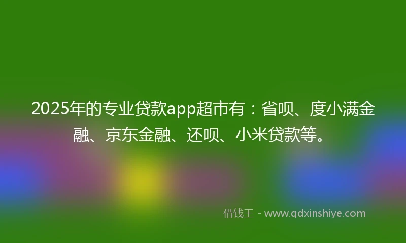 2025年的专业贷款app超市有：省呗、度小满金融、京东金融、还呗、小米贷款等。