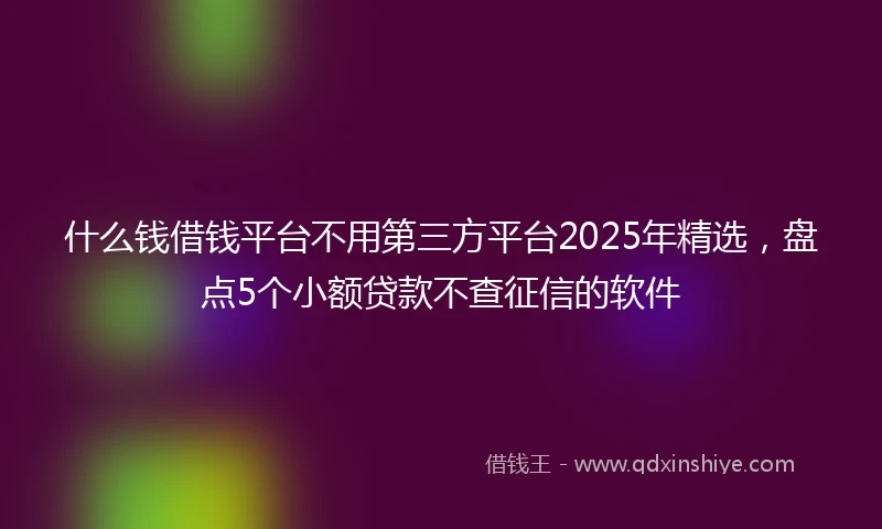 什么钱借钱平台不用第三方平台2025年精选，盘点5个小额贷款不查征信的软件