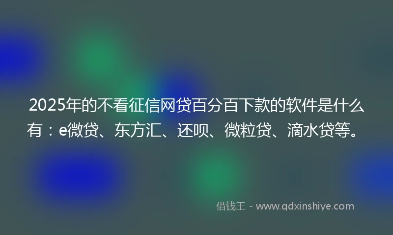 2025年的不看征信网贷百分百下款的软件是什么有：e微贷、东方汇、还呗、微粒贷、滴水贷等。