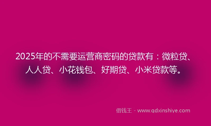 2025年的不需要运营商密码的贷款有：微粒贷、人人贷、小花钱包、好期贷、小米贷款等。