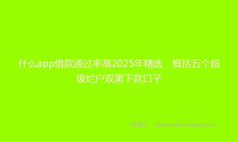 什么app借款通过率高2025年精选，概括五个超级烂户双黑下款口子