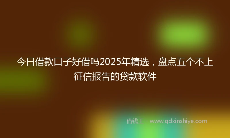 今日借款口子好借吗2025年精选，盘点五个不上征信报告的贷款软件