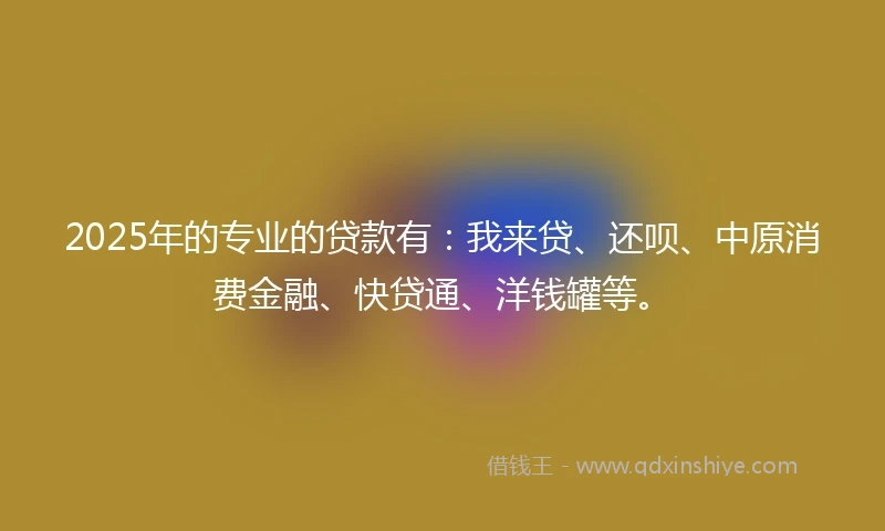 2025年的专业的贷款有：我来贷、还呗、中原消费金融、快贷通、洋钱罐等。