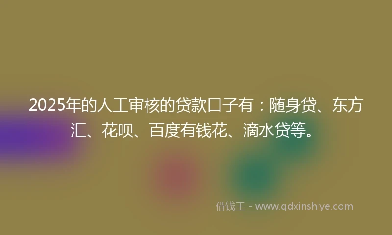 2025年的人工审核的贷款口子有：随身贷、东方汇、花呗、百度有钱花、滴水贷等。