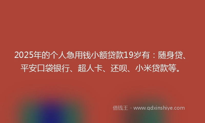 2025年的个人急用钱小额贷款19岁有：随身贷、平安口袋银行、超人卡、还呗、小米贷款等。