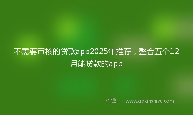 不需要审核的贷款app2025年推荐，整合五个12月能贷款的app