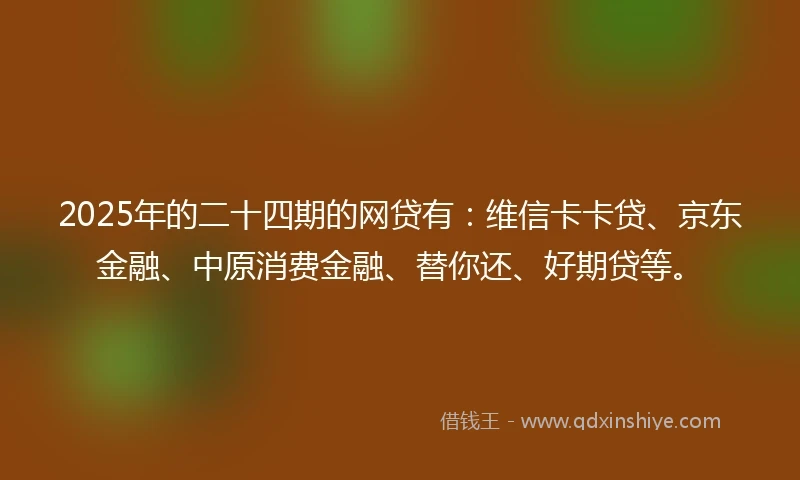 2025年的二十四期的网贷有：维信卡卡贷、京东金融、中原消费金融、替你还、好期贷等。