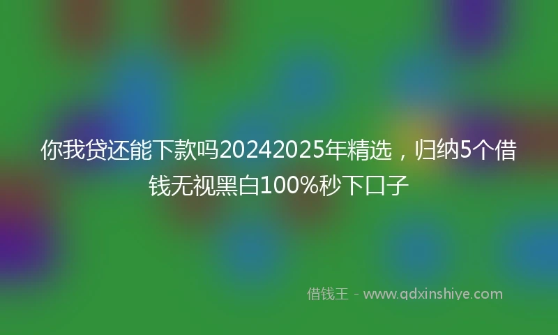 你我贷还能下款吗20242025年精选，归纳5个借钱无视黑白100%秒下口子