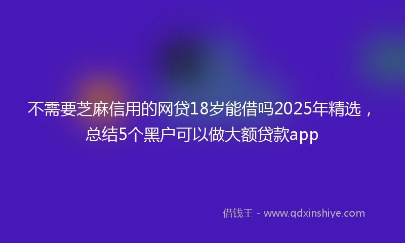 不需要芝麻信用的网贷18岁能借吗2025年精选，总结5个黑户可以做大额贷款app
