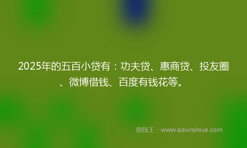 2025年的五百小贷有：功夫贷、惠商贷、投友圈、微博借钱、百度有钱花等。