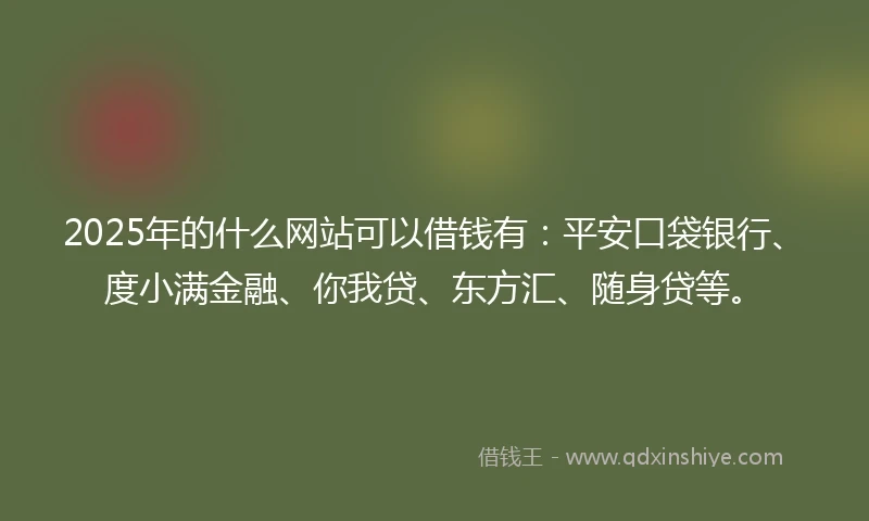 2025年的什么网站可以借钱有：平安口袋银行、度小满金融、你我贷、东方汇、随身贷等。