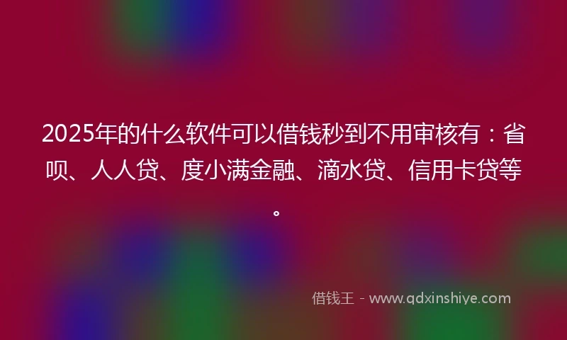 2025年的什么软件可以借钱秒到不用审核有：省呗、人人贷、度小满金融、滴水贷、信用卡贷等。