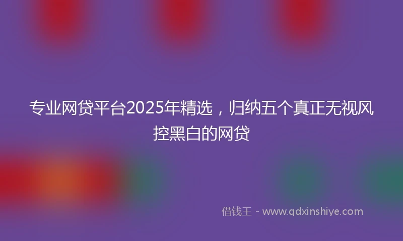 专业网贷平台2025年精选，归纳五个真正无视风控黑白的网贷