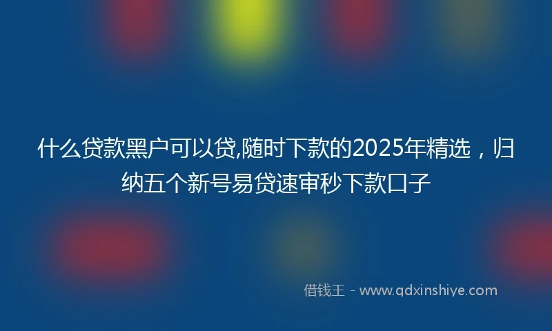 什么贷款黑户可以贷,随时下款的2025年精选，归纳五个新号易贷速审秒下款口子