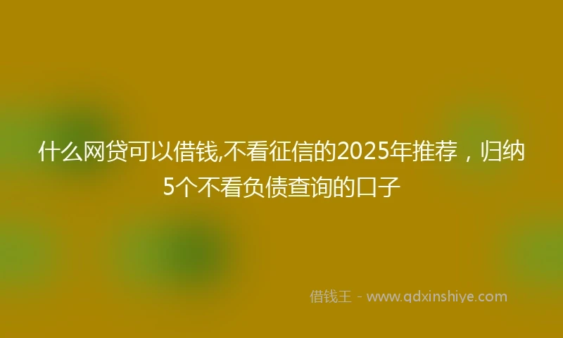 什么网贷可以借钱,不看征信的2025年推荐，归纳5个不看负债查询的口子