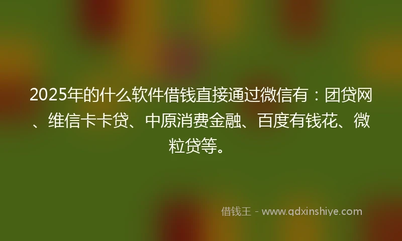 2025年的什么软件借钱直接通过微信有：团贷网、维信卡卡贷、中原消费金融、百度有钱花、微粒贷等。