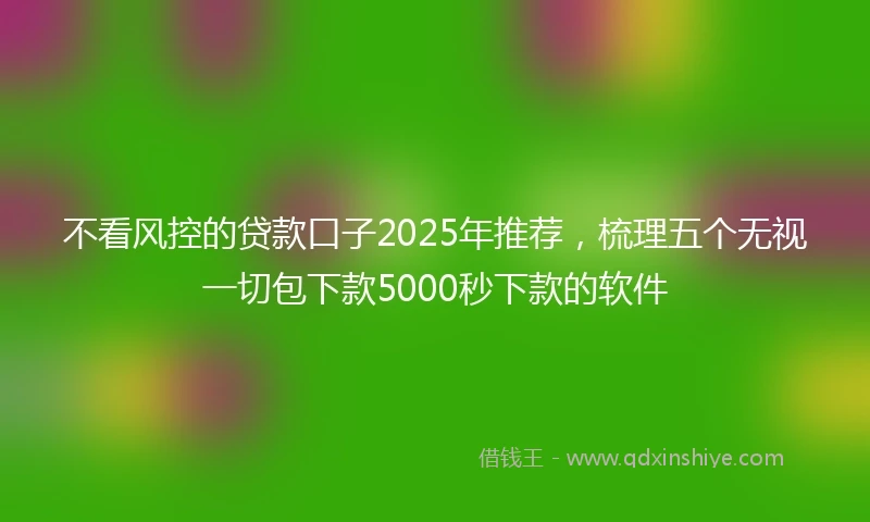 不看风控的贷款口子2025年推荐，梳理五个无视一切包下款5000秒下款的软件