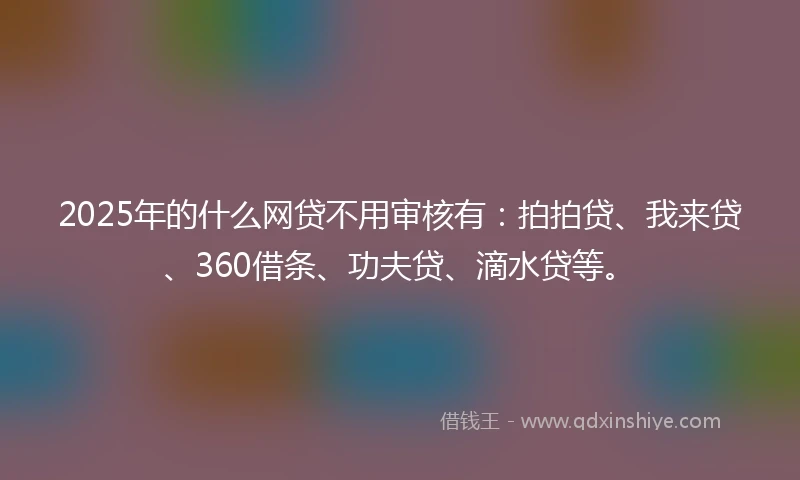 2025年的什么网贷不用审核有：拍拍贷、我来贷、360借条、功夫贷、滴水贷等。