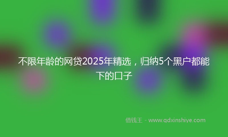 不限年龄的网贷2025年精选，归纳5个黑户都能下的口子