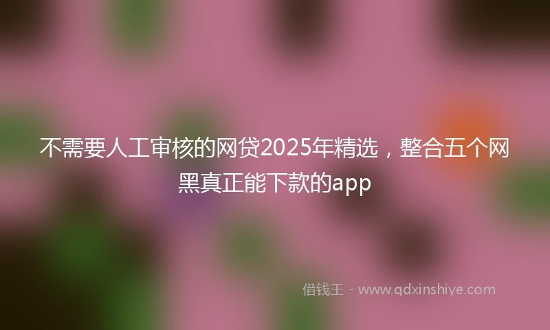 不需要人工审核的网贷2025年精选，整合五个网黑真正能下款的app