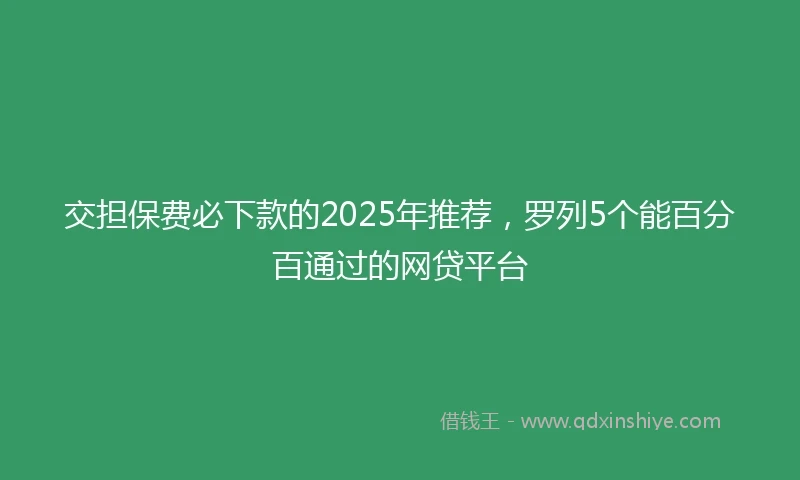 交担保费必下款的2025年推荐，罗列5个能百分百通过的网贷平台