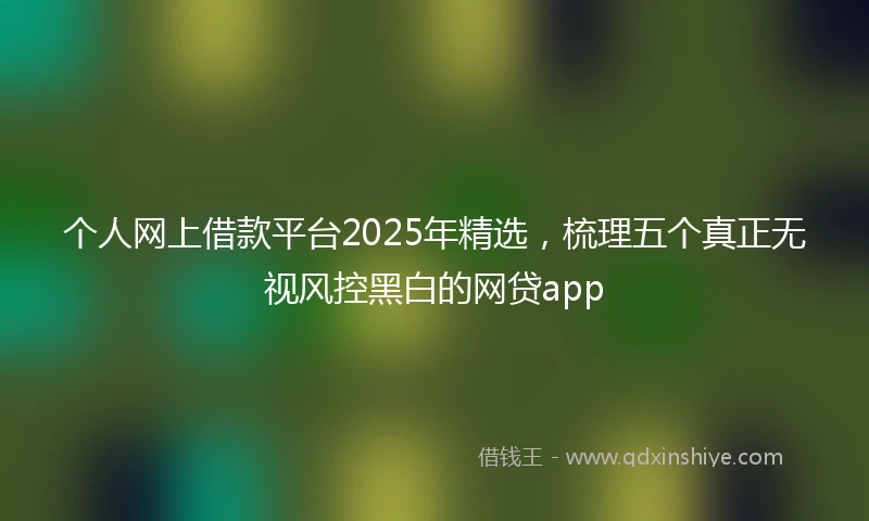 个人网上借款平台2025年精选，梳理五个真正无视风控黑白的网贷app
