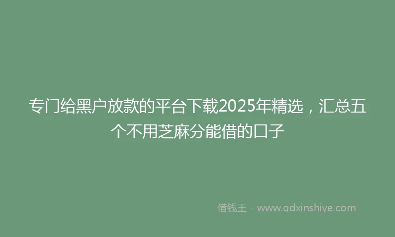 专门给黑户放款的平台下载2025年精选，汇总五个不用芝麻分能借的口子