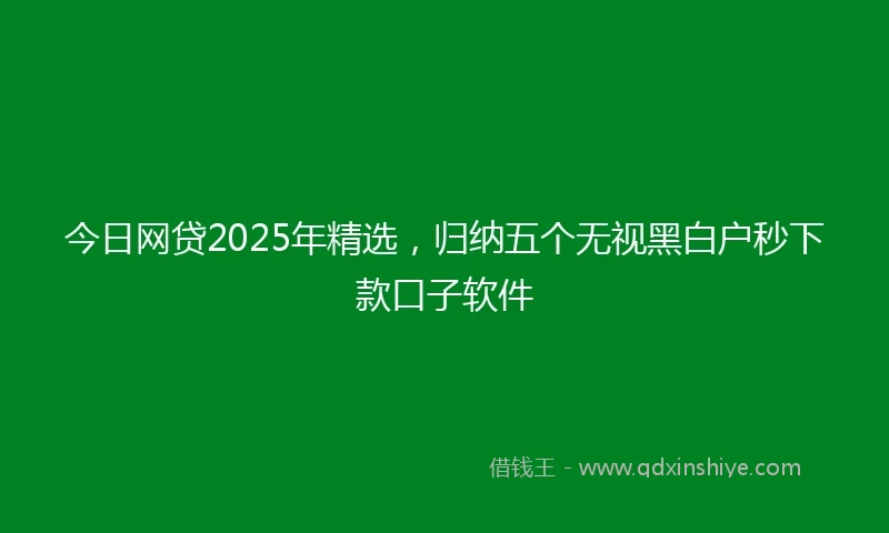 今日网贷2025年精选，归纳五个无视黑白户秒下款口子软件