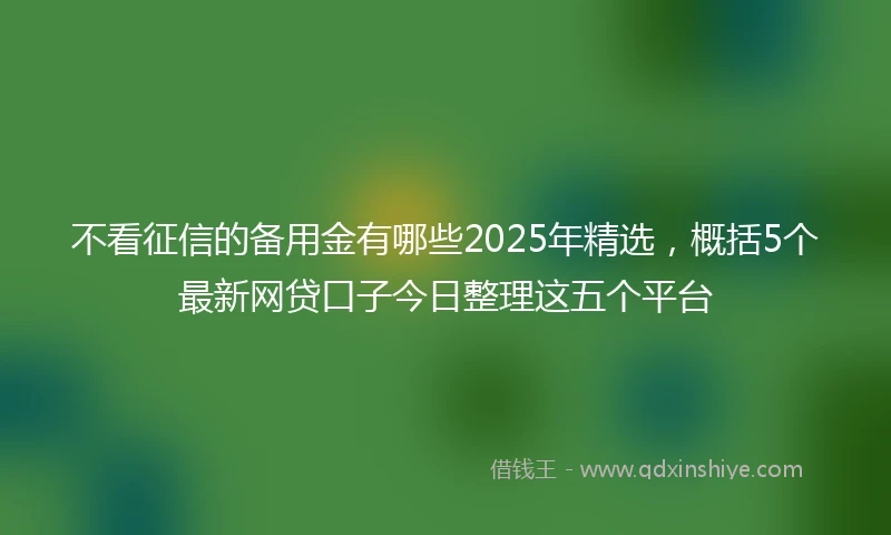 不看征信的备用金有哪些2025年精选，概括5个最新网贷口子今日整理这五个平台