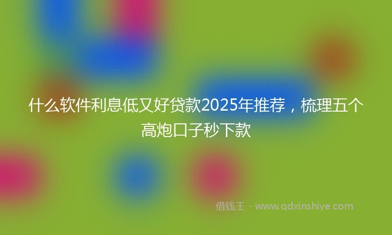 什么软件利息低又好贷款2025年推荐，梳理五个高炮口子秒下款