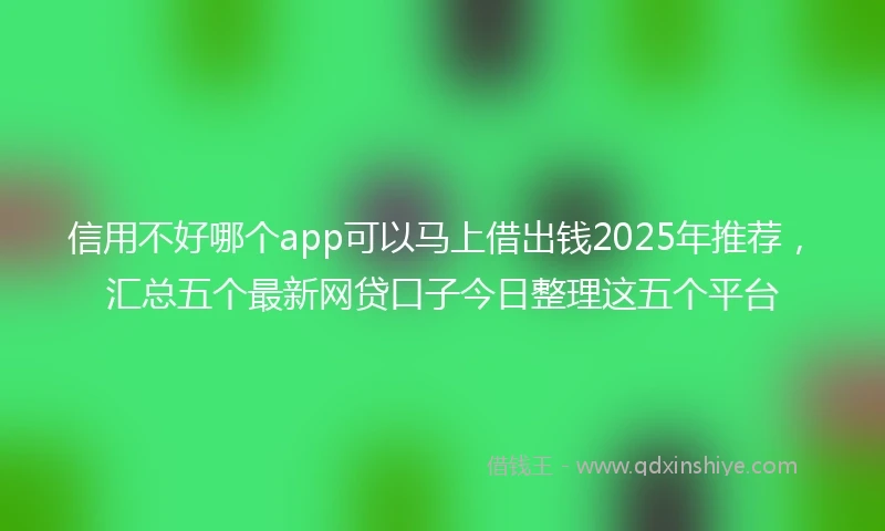 信用不好哪个app可以马上借出钱2025年推荐，汇总五个最新网贷口子今日整理这五个平台