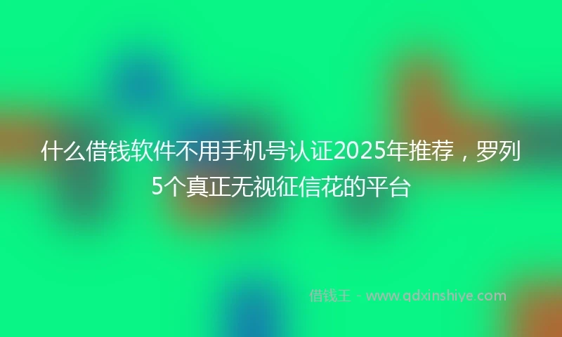 什么借钱软件不用手机号认证2025年推荐，罗列5个真正无视征信花的平台