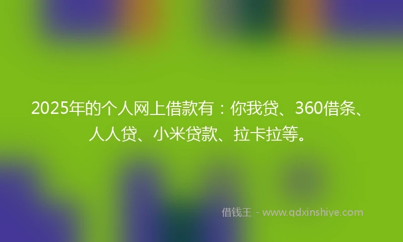2025年的个人网上借款有：你我贷、360借条、人人贷、小米贷款、拉卡拉等。
