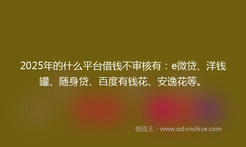 2025年的什么平台借钱不审核有：e微贷、洋钱罐、随身贷、百度有钱花、安逸花等。