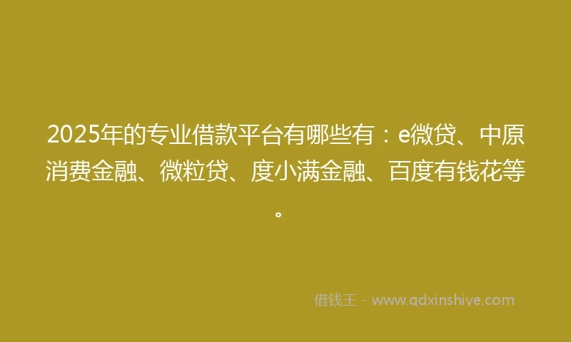 2025年的专业借款平台有哪些有：e微贷、中原消费金融、微粒贷、度小满金融、百度有钱花等。