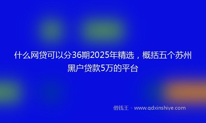 什么网贷可以分36期2025年精选，概括五个苏州黑户贷款5万的平台
