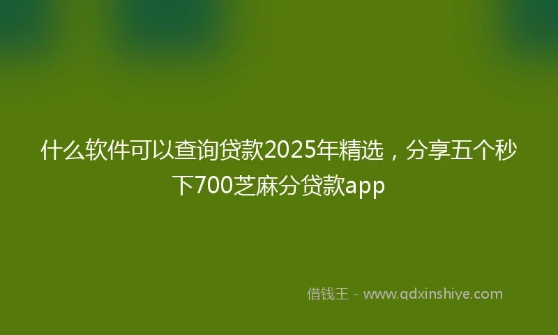 什么软件可以查询贷款2025年精选，分享五个秒下700芝麻分贷款app