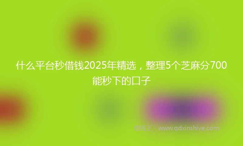 什么平台秒借钱2025年精选，整理5个芝麻分700能秒下的口子