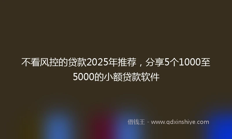 不看风控的贷款2025年推荐，分享5个1000至5000的小额贷款软件