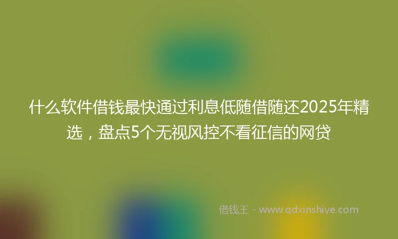 什么软件借钱最快通过利息低随借随还2025年精选，盘点5个无视风控不看征信的网贷