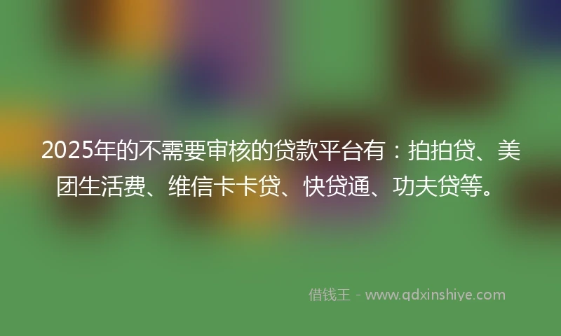 2025年的不需要审核的贷款平台有：拍拍贷、美团生活费、维信卡卡贷、快贷通、功夫贷等。