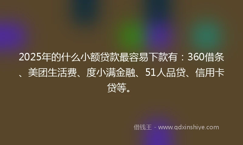 2025年的什么小额贷款最容易下款有：360借条、美团生活费、度小满金融、51人品贷、信用卡贷等。